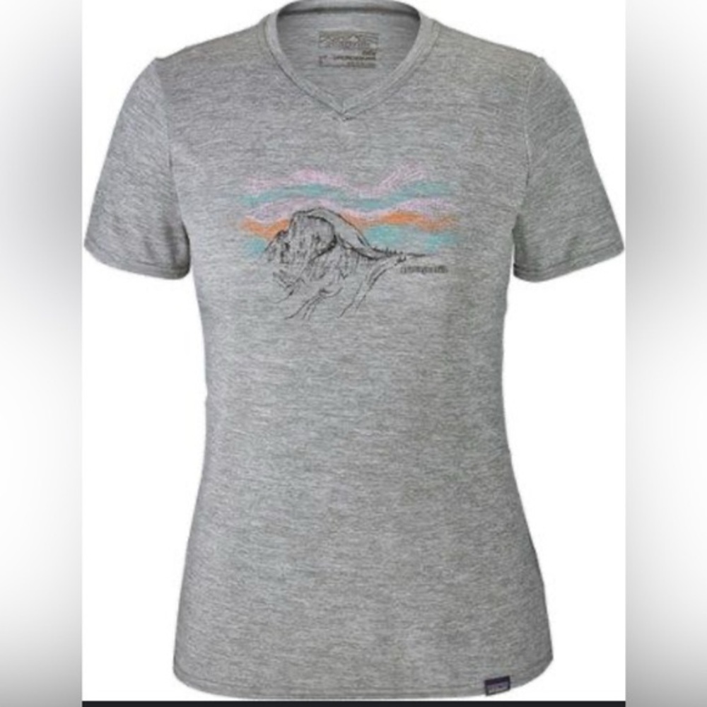 Patagonia Daily Capilene Base Layer V Neck Tee